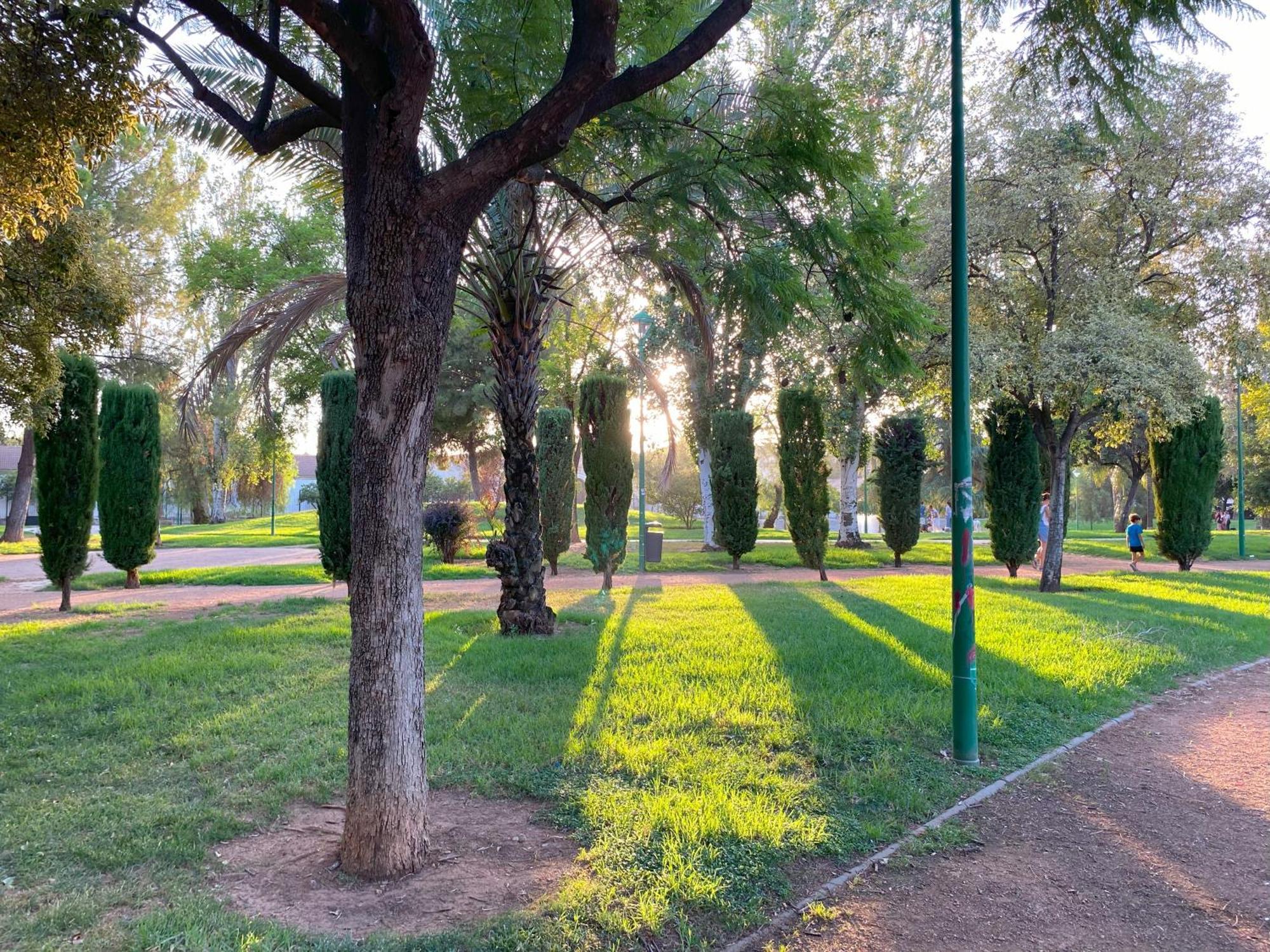Apartamento La Estrella De La Vinuela